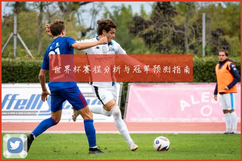 世界杯赛程分析与冠军预测指南