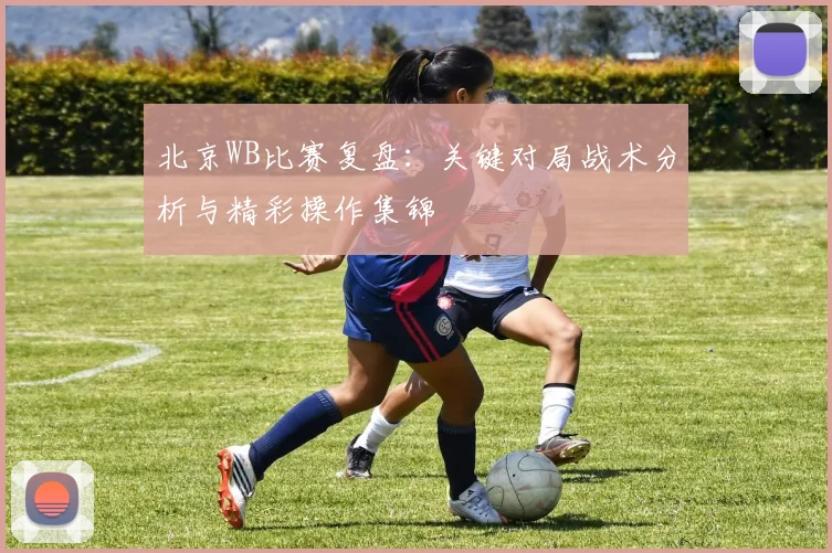 北京WB比赛复盘：关键对局战术分析与精彩操作集锦