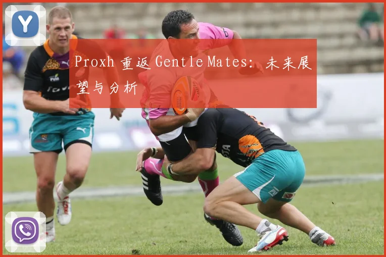 Proxh 重返 Gentle Mates:未来展望与分析