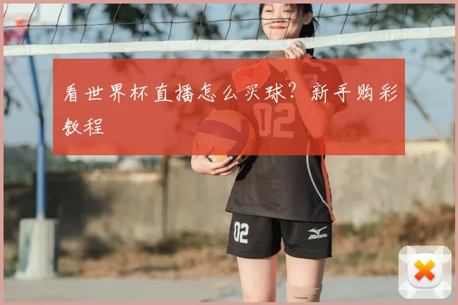 看世界杯直播怎么买球？新手购彩教程