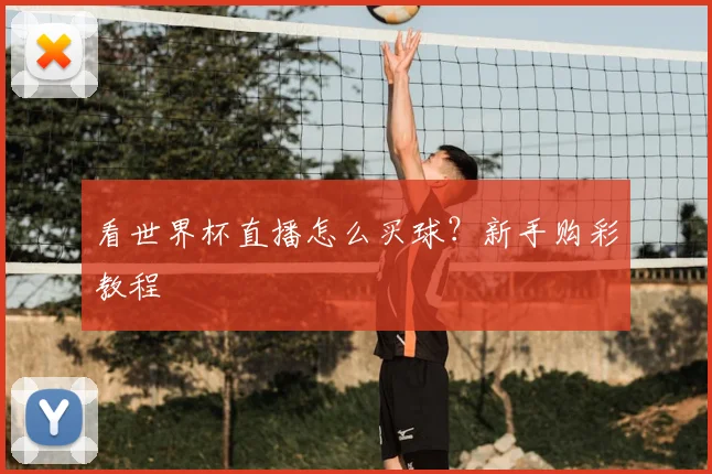 看世界杯直播怎么买球？新手购彩教程